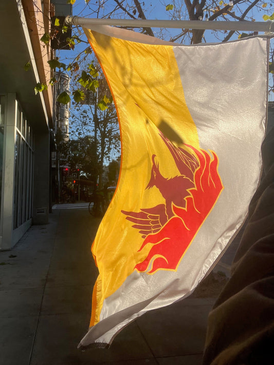 Large - 3'x5' San Francisco Fog & Gold Flag