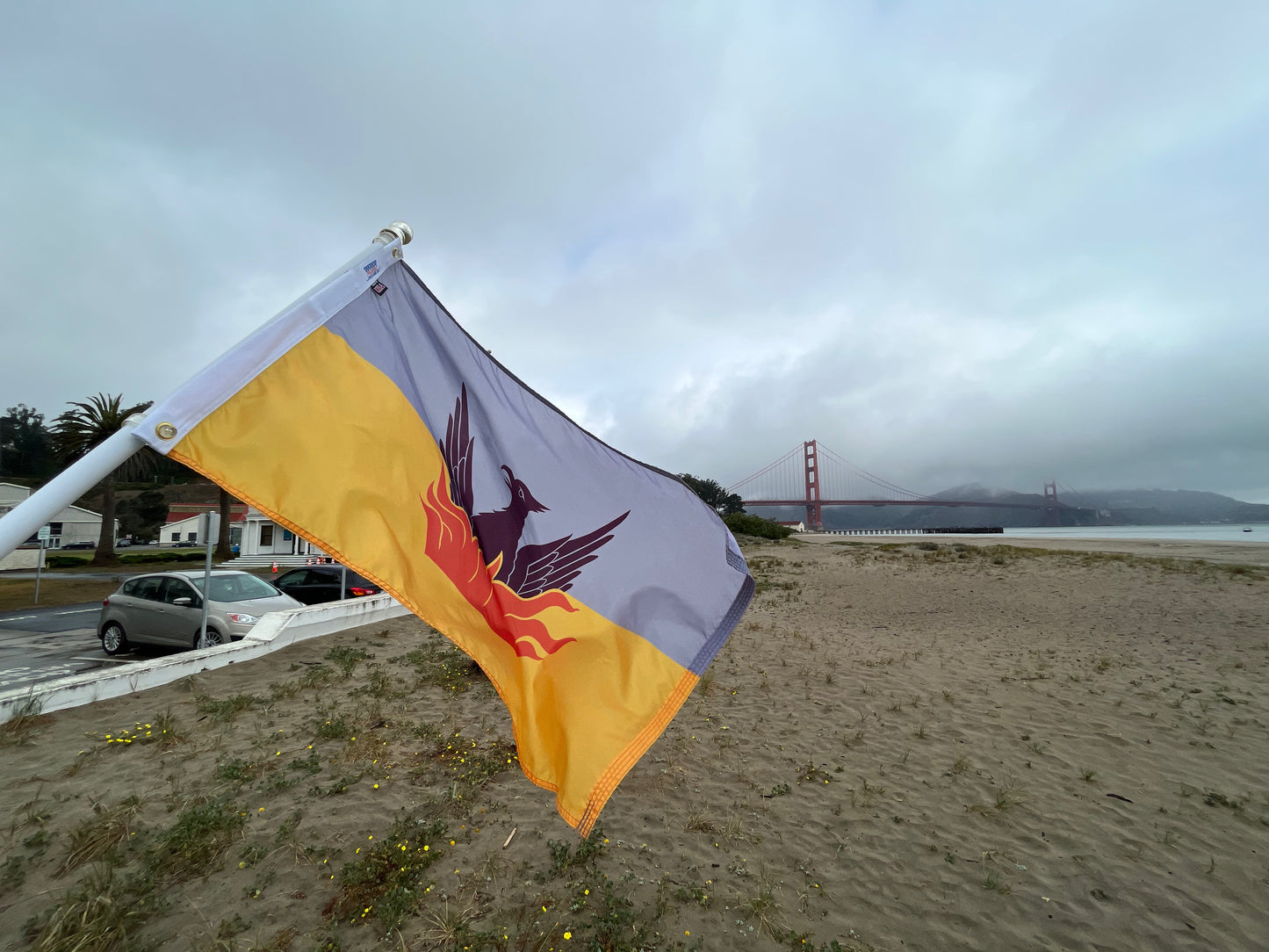Medium - 2 ft x 3 ft SF Fog & Gold Flag