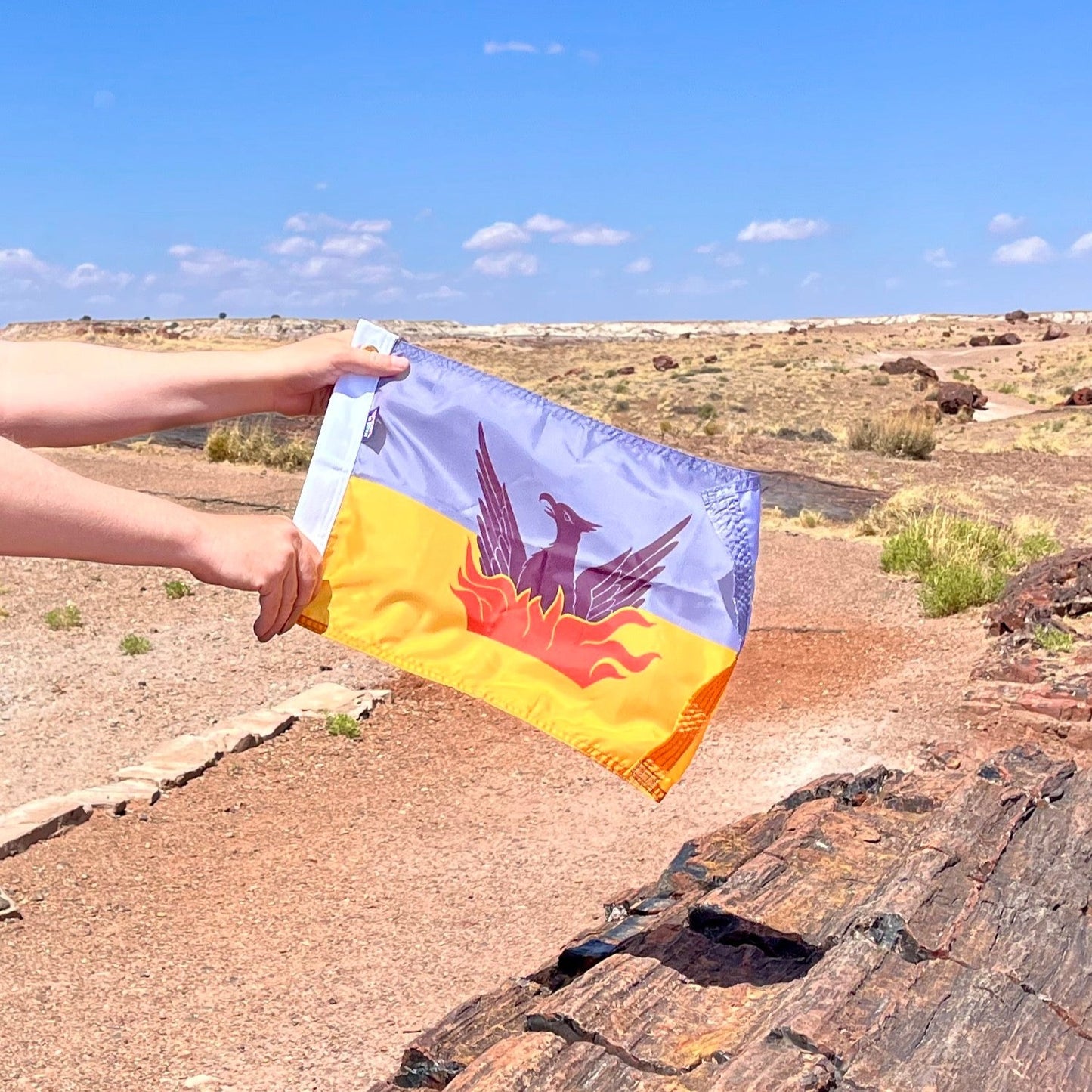 Small - 12" x 18" SF Fog & Gold Flag