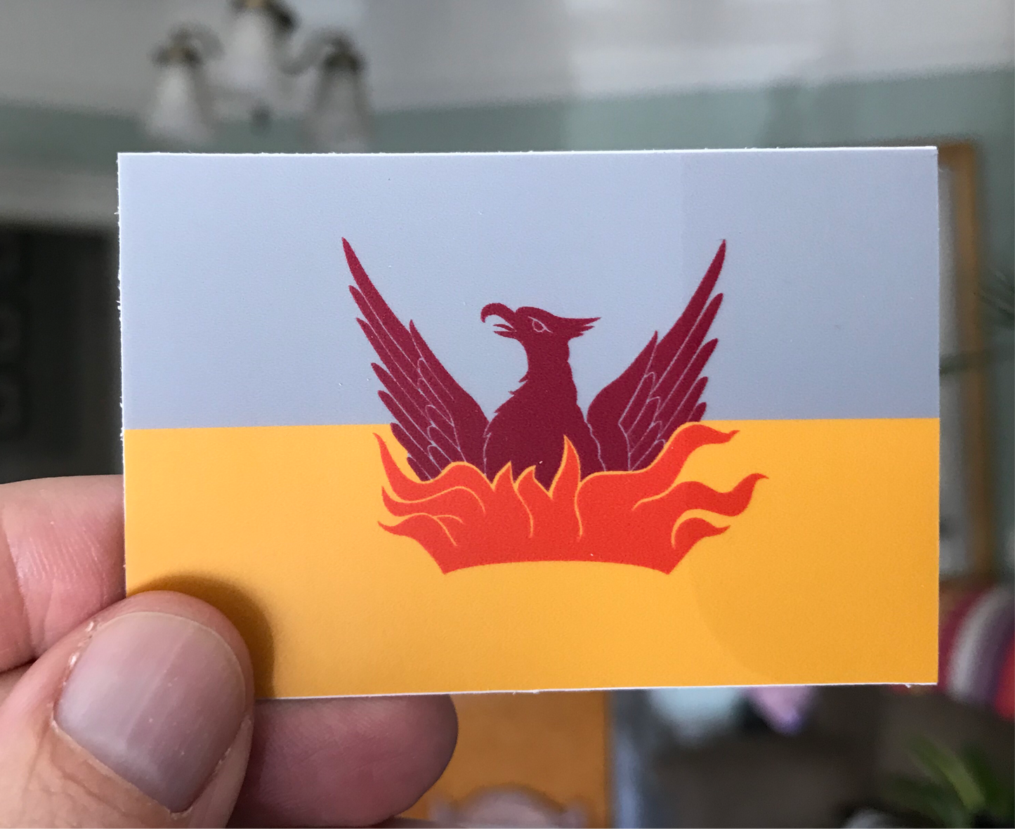 Stickers 3" x 2"- set of 5