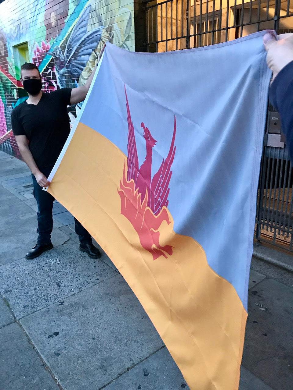 Very Large - 5'x8' San Francisco Fog & Gold Flag